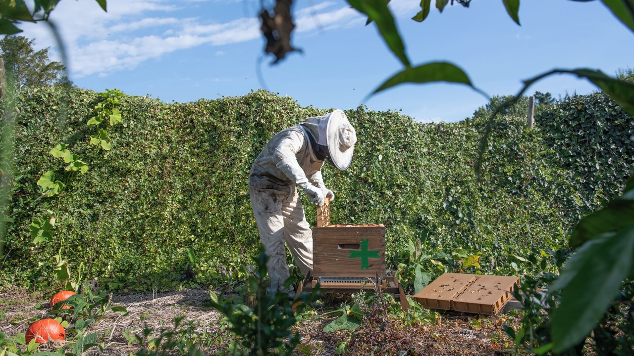 Photo of Outdoor in Ablon