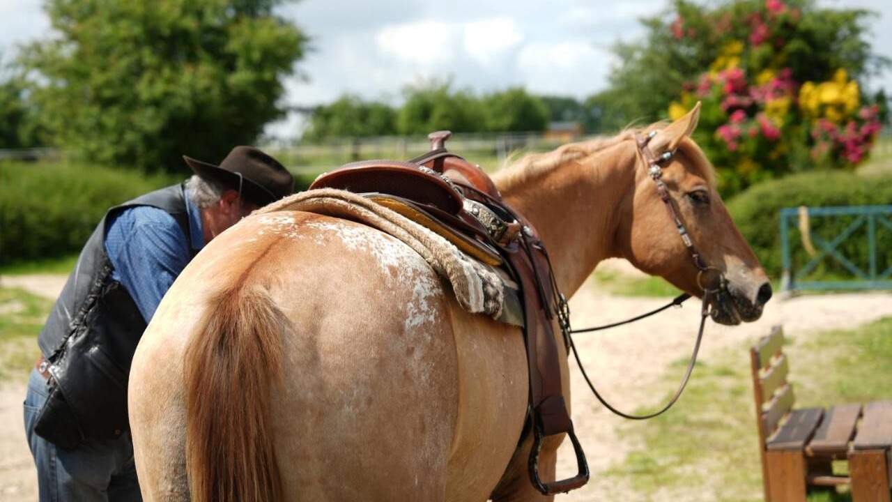 Photo of Outdoor in Le Val-Saint-Germain