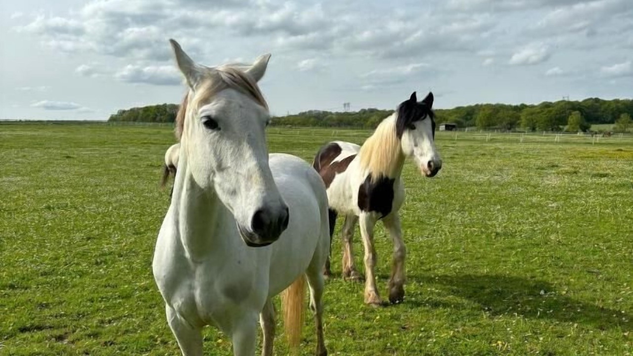 Photo of Outdoor in Le Val-Saint-Germain