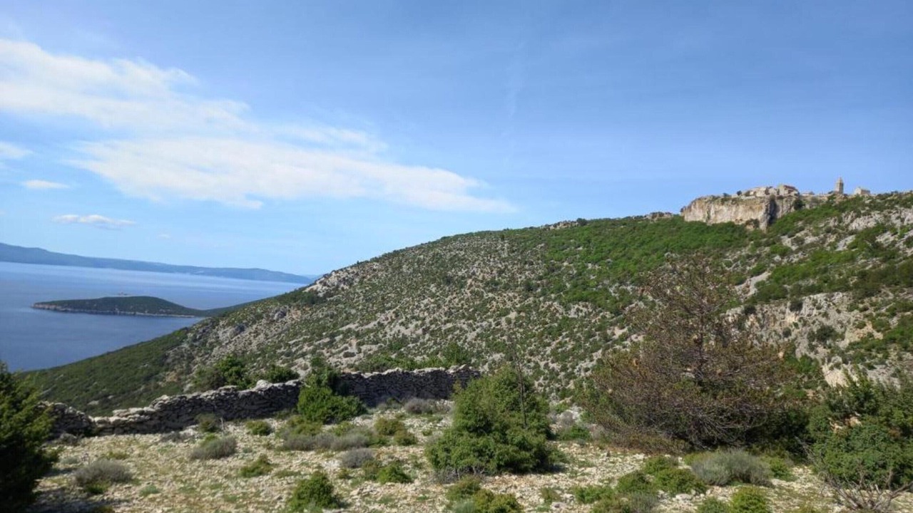 Photo of Others in Cres