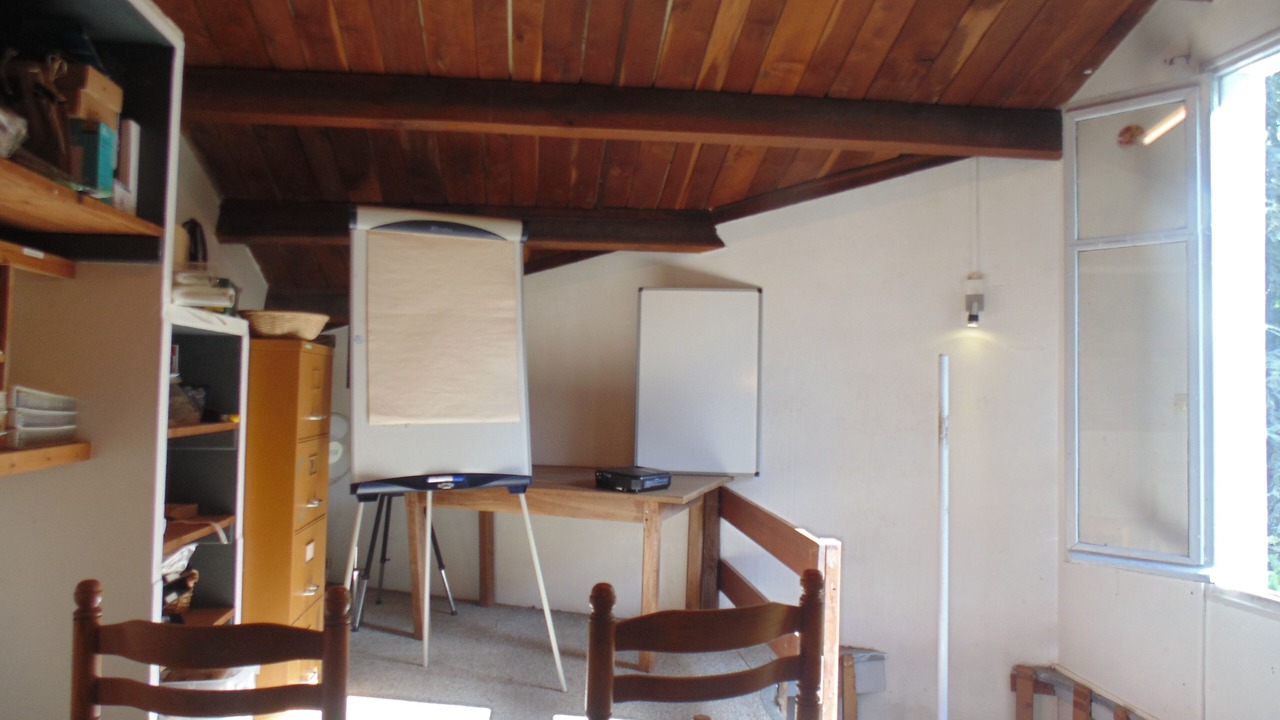 Photo of Others in Scille