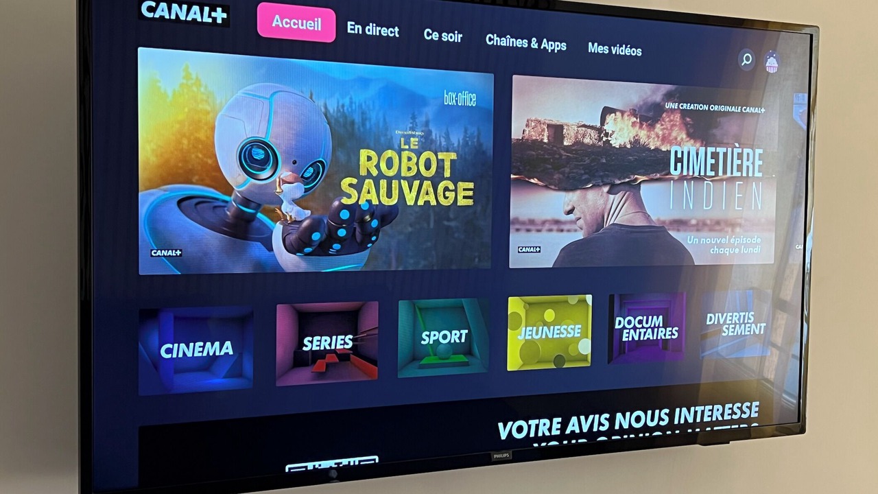 Photo of Others in Tulle