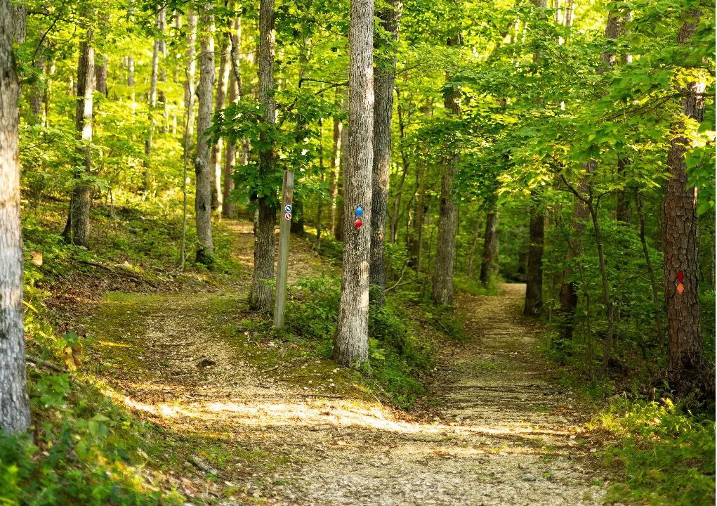 Photo of Outdoor in Potosi