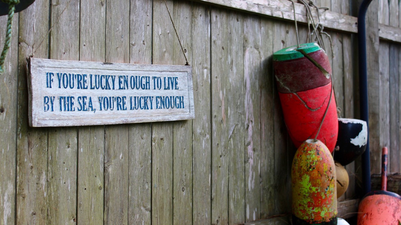 Photo of Outdoor in Pond Cove