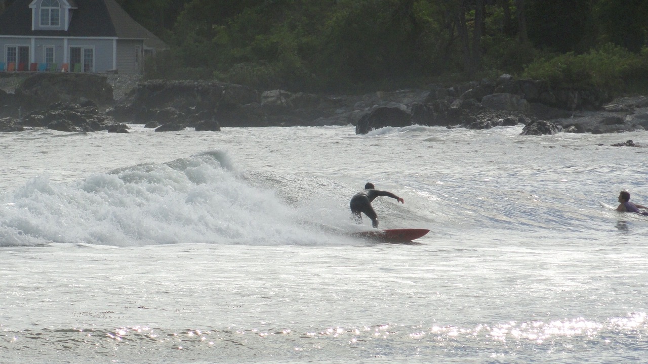 Photo of Others in Pond Cove