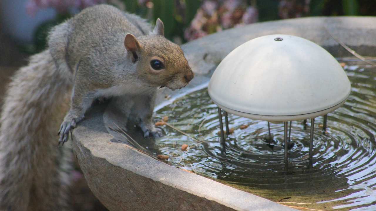Photo of Others in Pond Cove