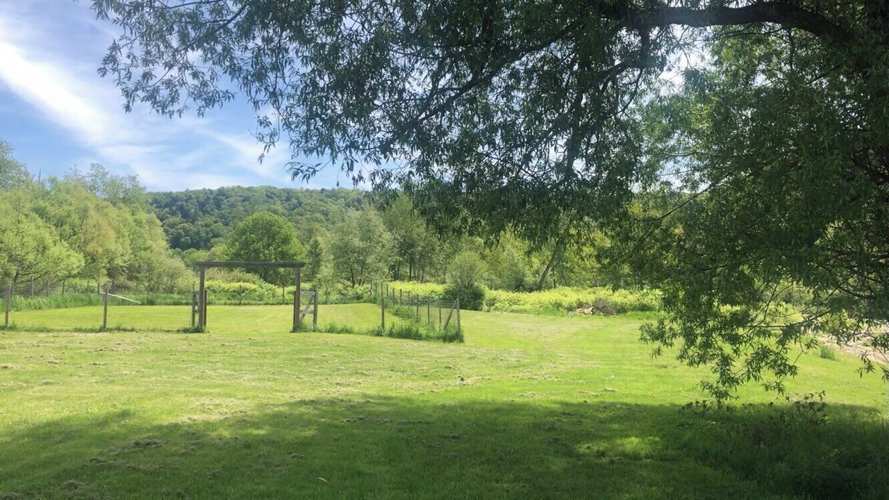 Photo of Outdoor in West Woodstock