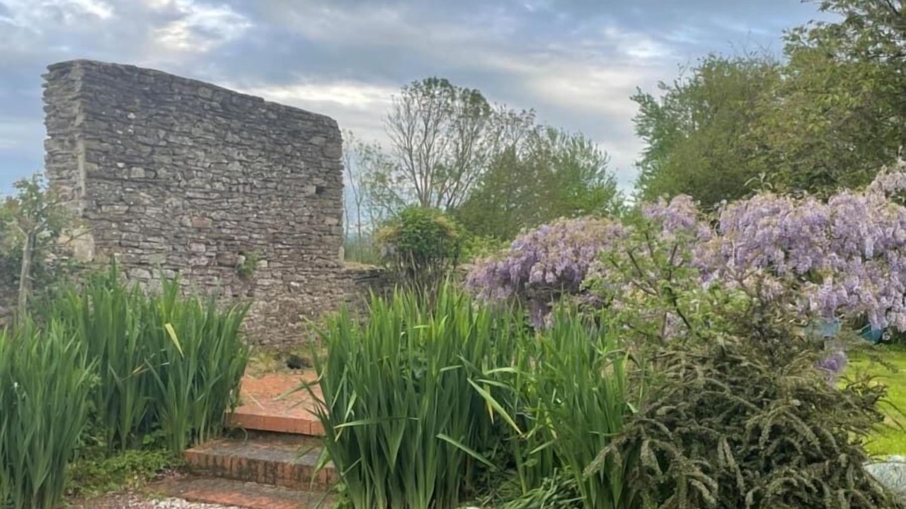 Photo of Outdoor in La Chapelle sur Vire