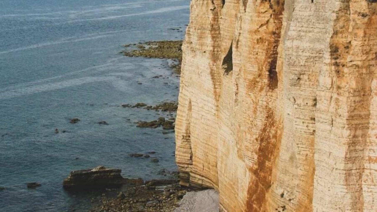 Photo of Outdoor in La Chapelle sur Vire