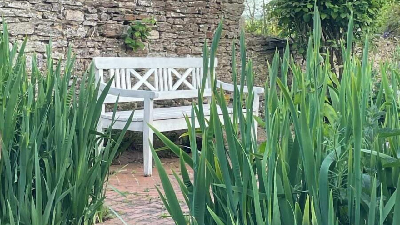 Photo of Outdoor in La Chapelle sur Vire