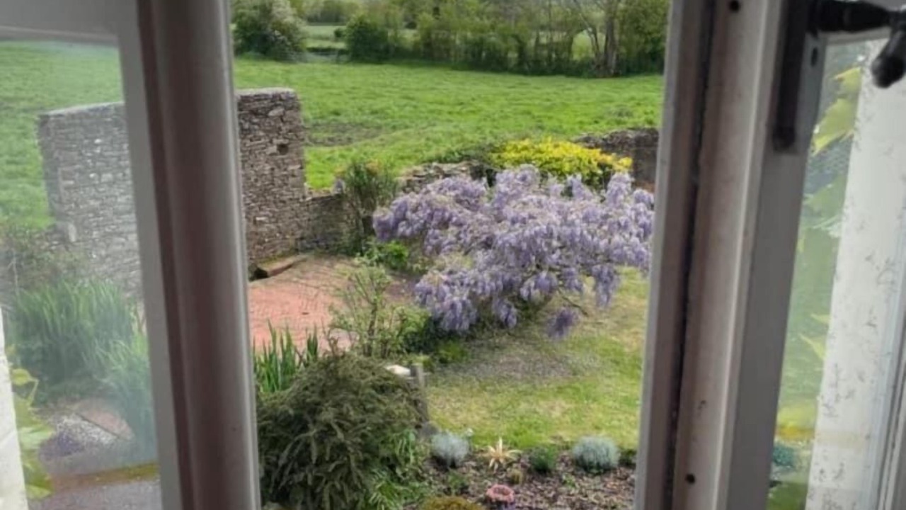 Photo of Others in La Chapelle sur Vire