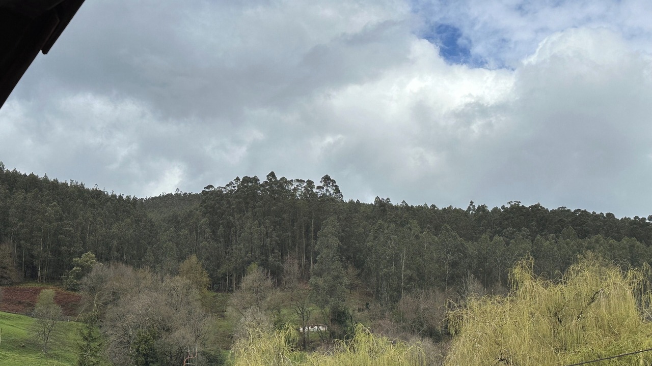 Photo of Patio Balcony in Socobio