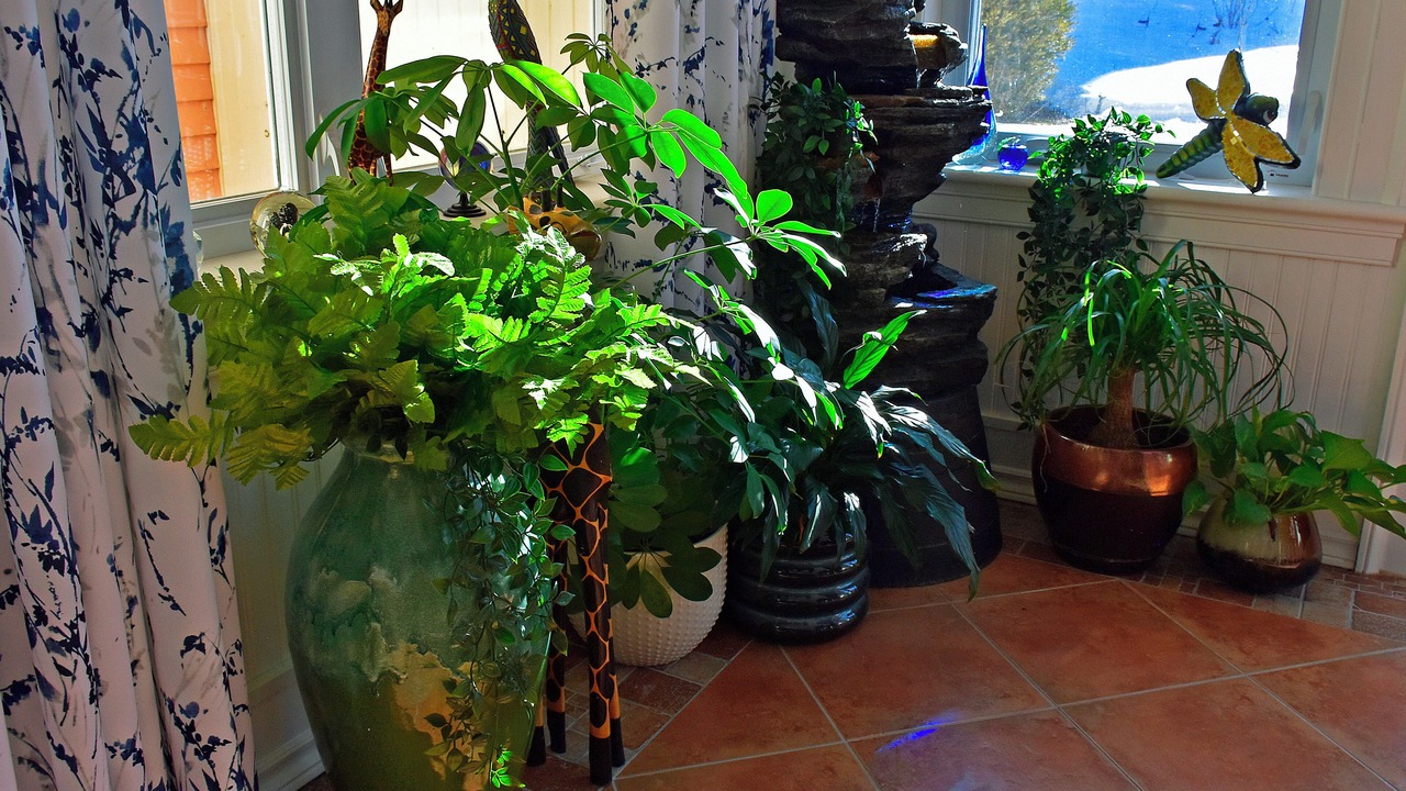 Photo of Patio Balcony in Mahone Bay