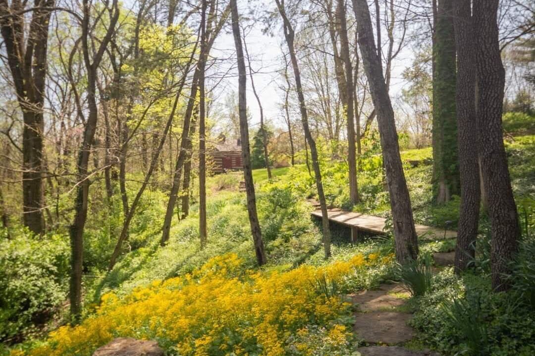 Photo of Outdoor in Washington