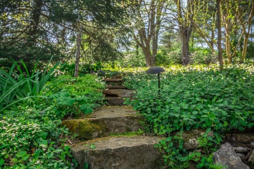 Photo of Outdoor in Washington