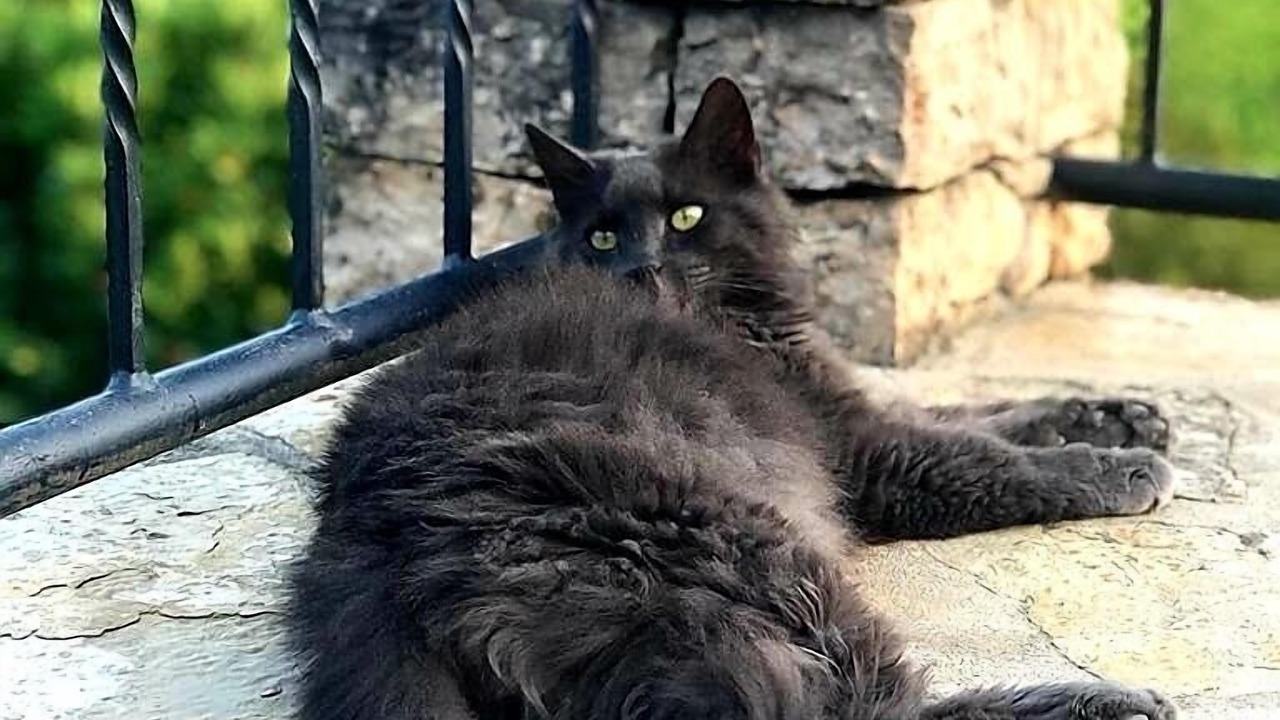 Photo of Outdoor in Cabasse