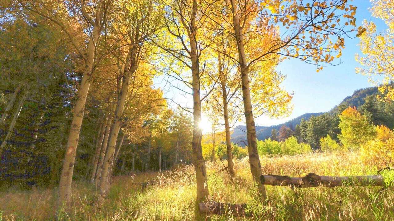 Photo of Others in Lake George