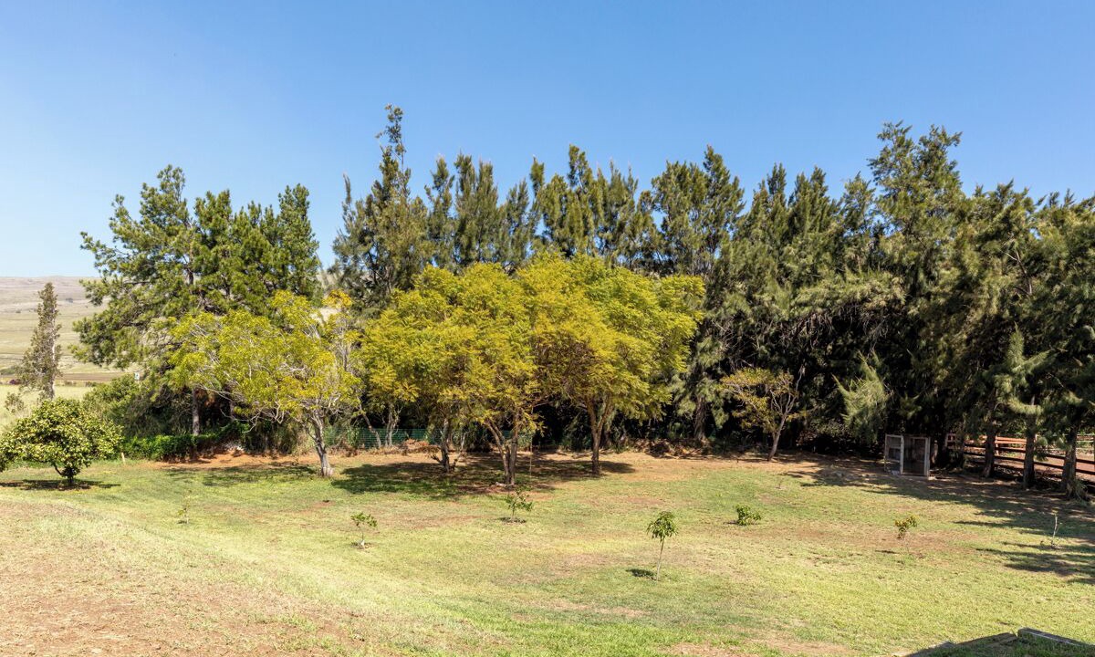 Photo of Outdoor in Kamuela