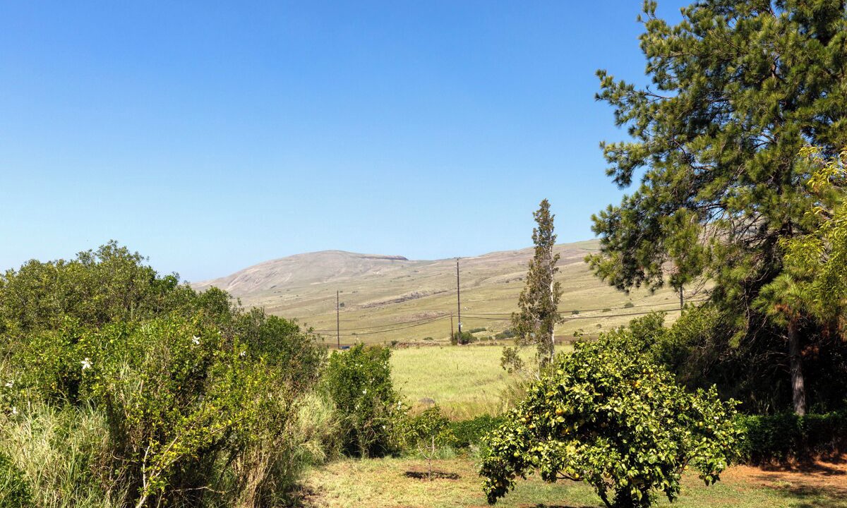 Photo of Others in Kamuela