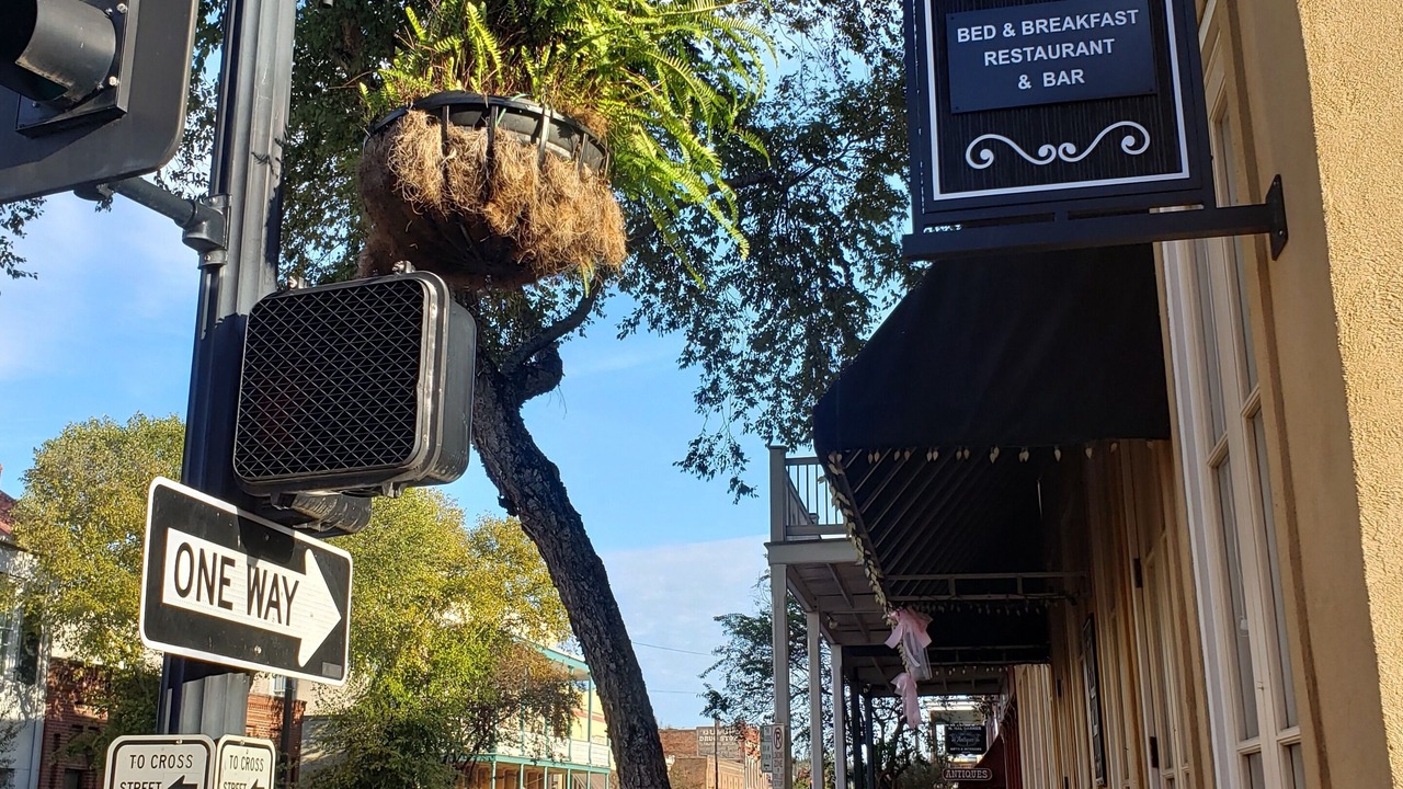 Photo of Outdoor in Natchez