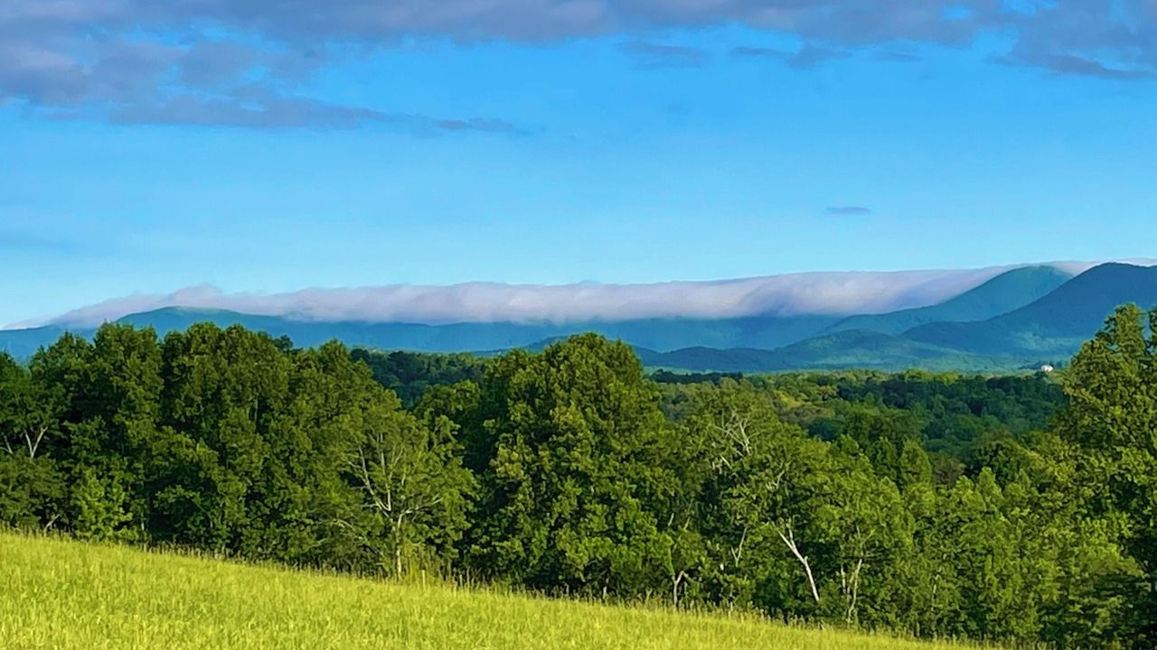 Photo of Others in Dahlonega