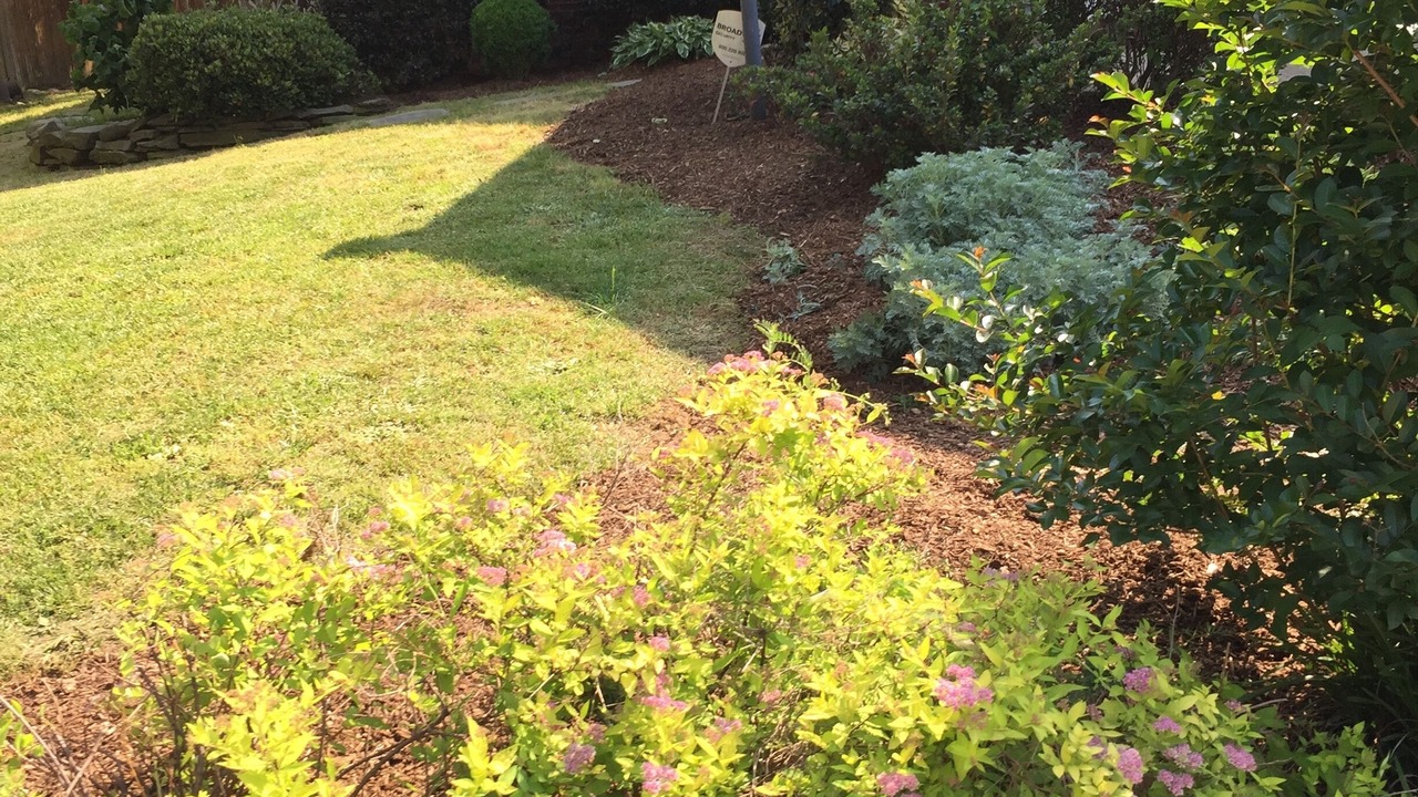 Photo of Outdoor in Southwest Raleigh