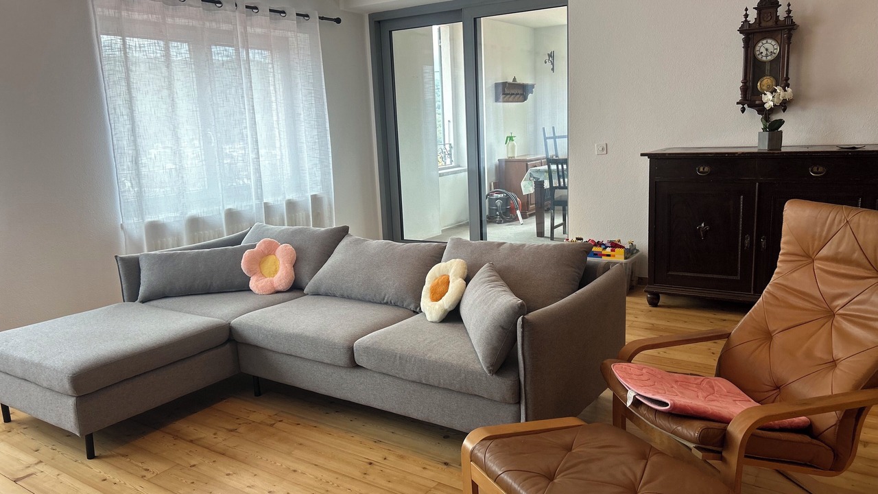 Photo of Livingroom in Sonvico