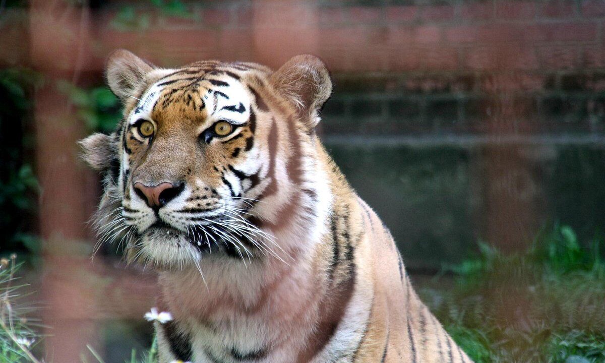 Photo of Others in Marielyst