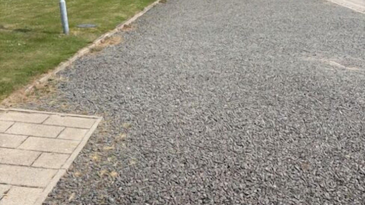 Photo of Others in Marielyst