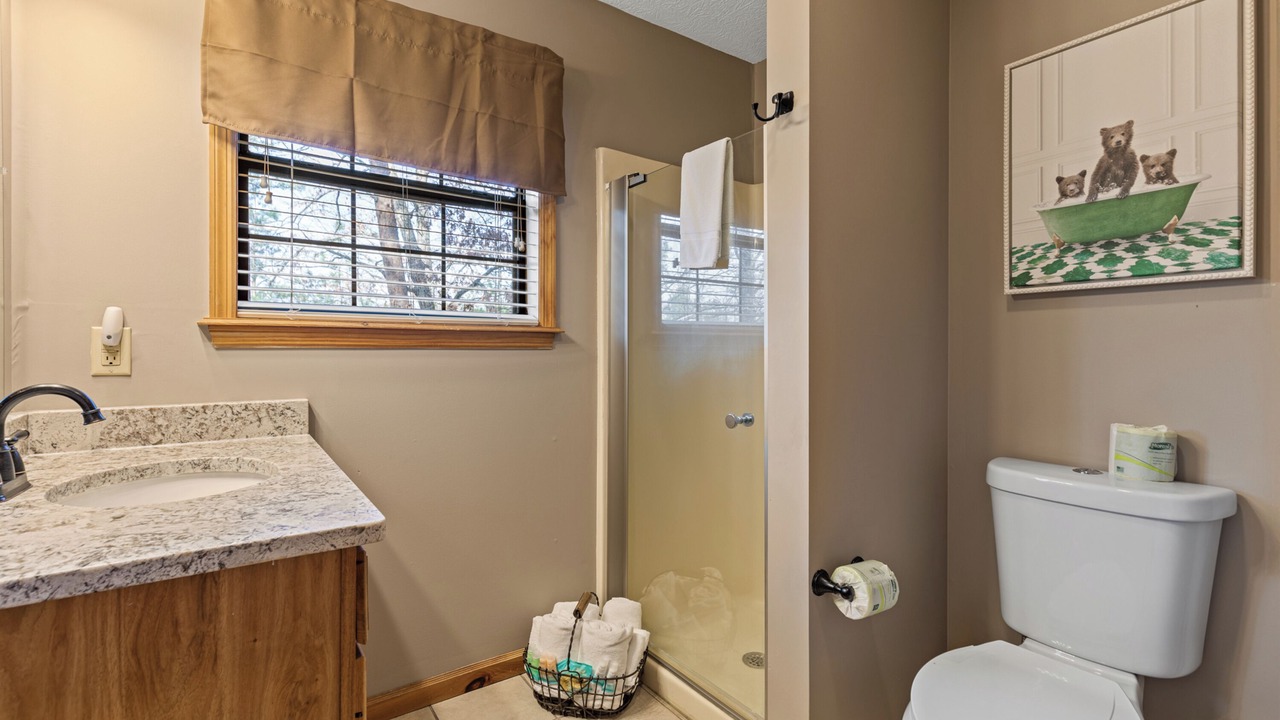 Photo of Bathroom in Sevierville