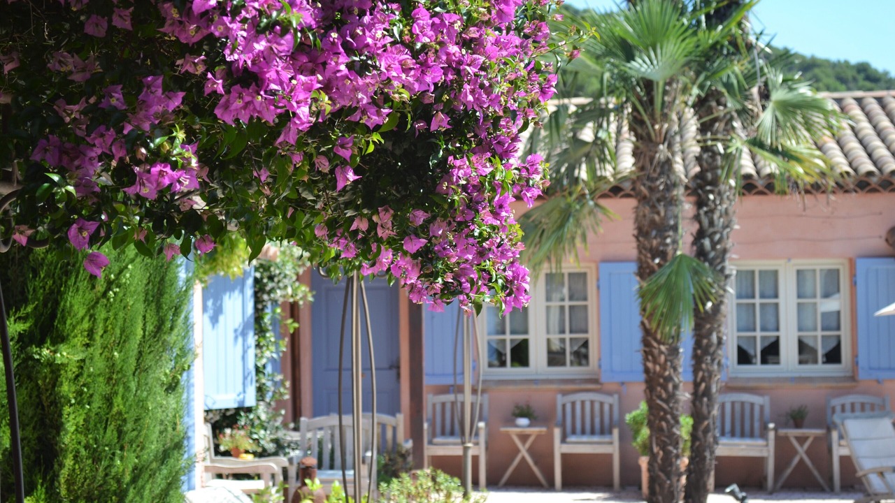 Photo of Outdoor in Tourrettes-sur-Loup