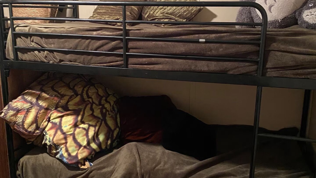 Photo of Others in Kyogle