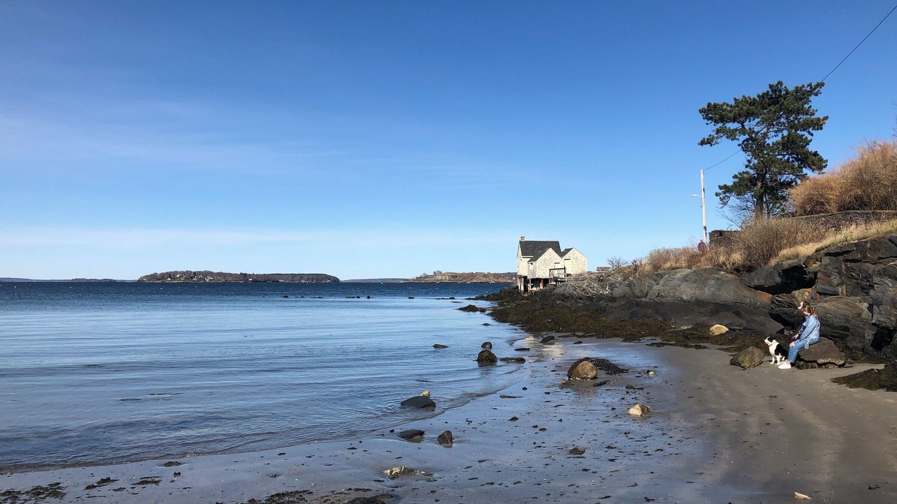 Photo of Others in Willard