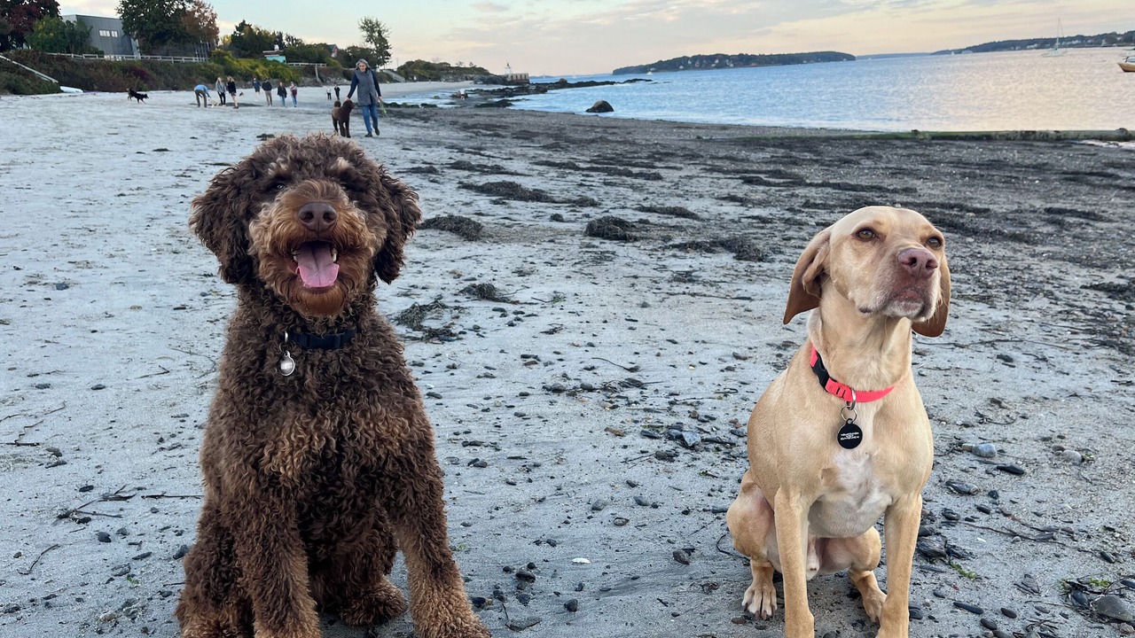 Photo of Others in Willard