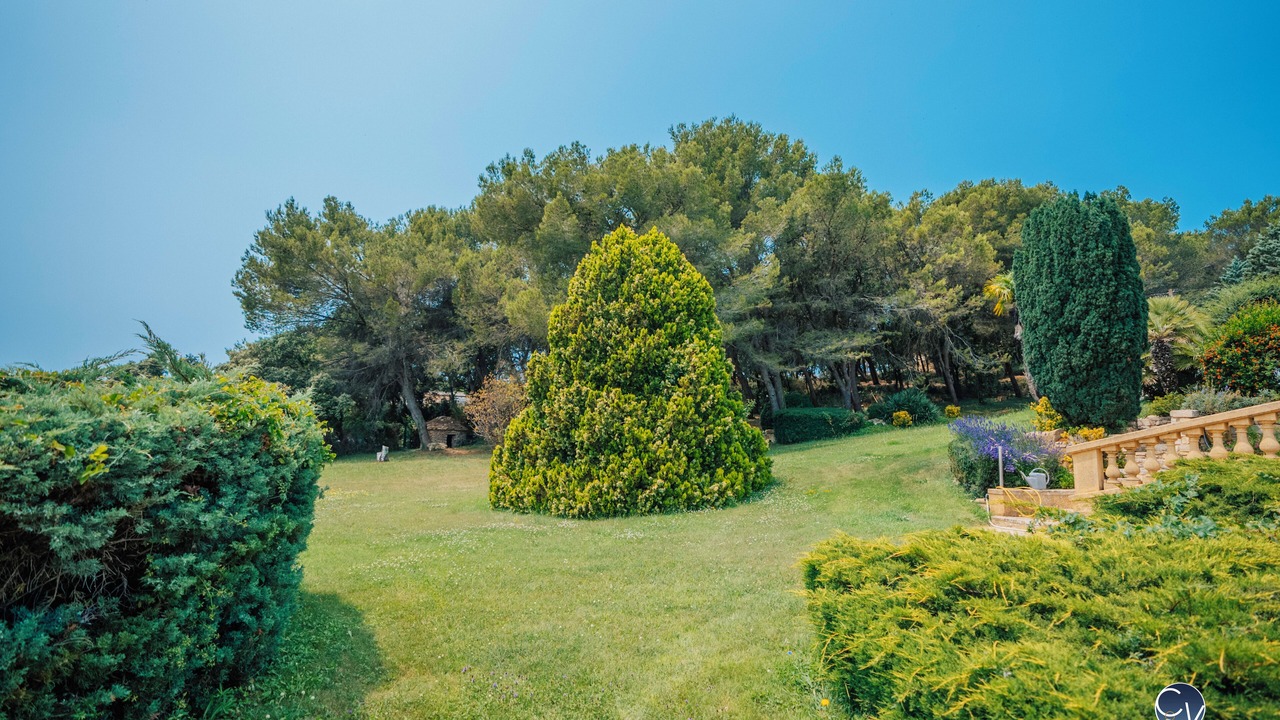 Photo of Outdoor in Venejan