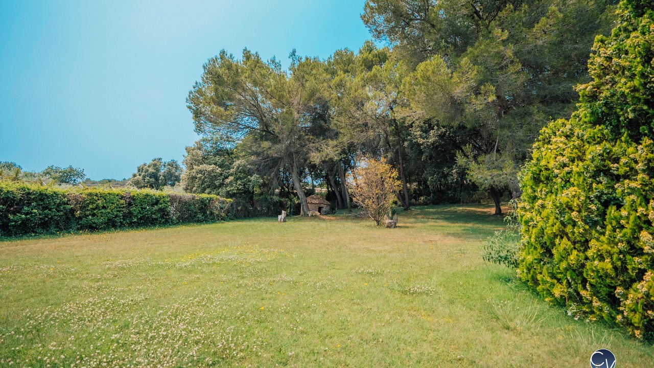Photo of Outdoor in Venejan