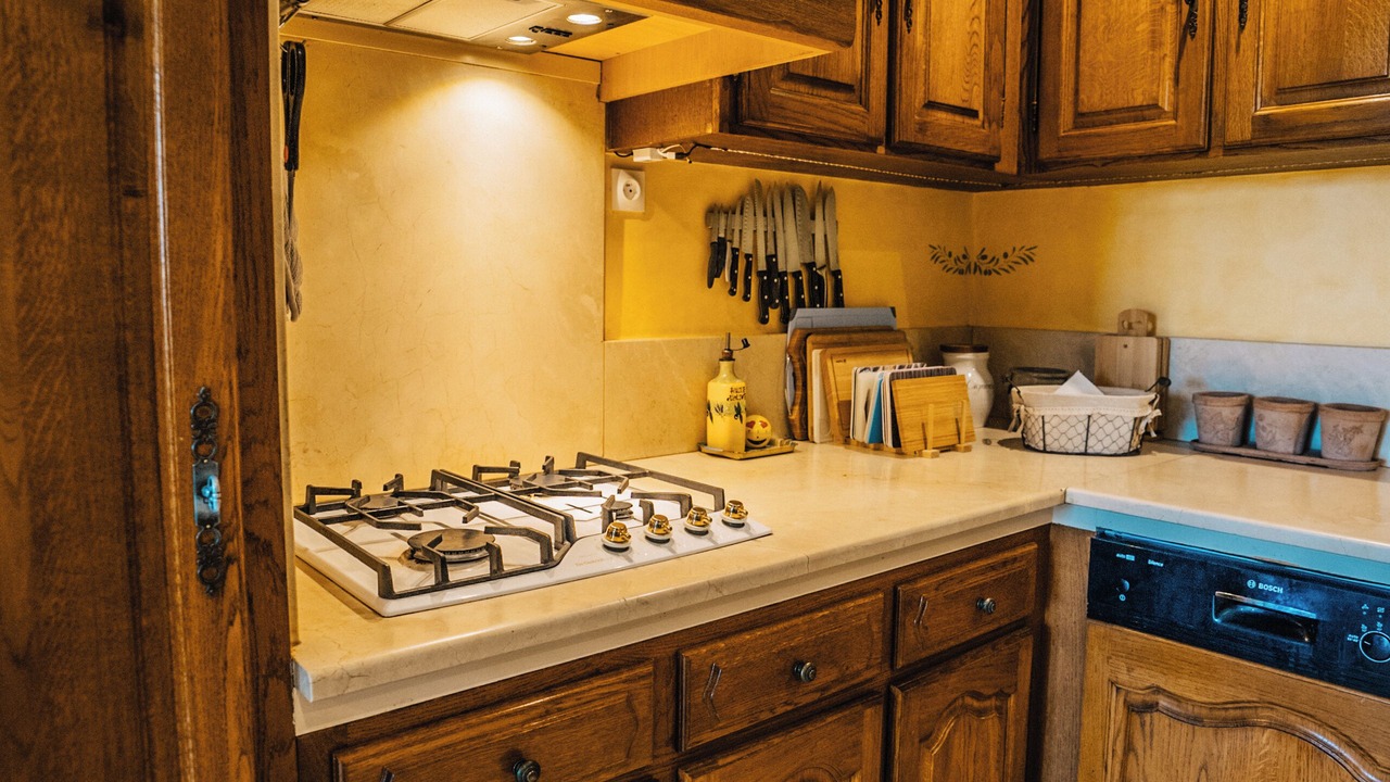 Photo of Kitchen in Venejan