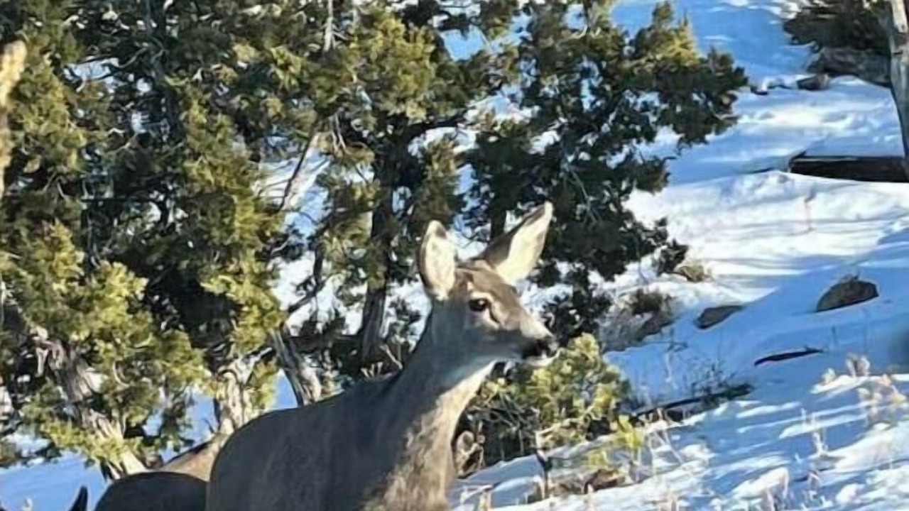 Photo of Others in Santa Fe