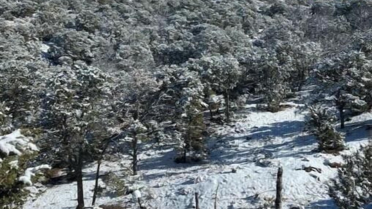 Photo of Others in Santa Fe