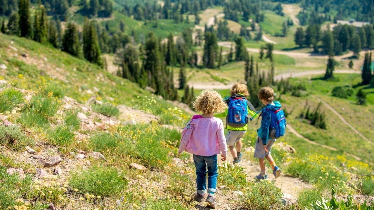 Photo of Others in Mountain Green