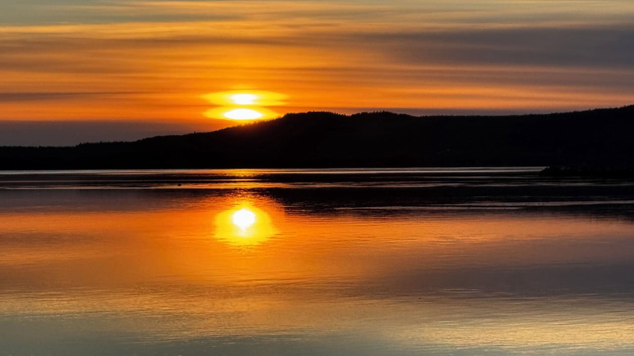 Photo of Others in Terra Nova