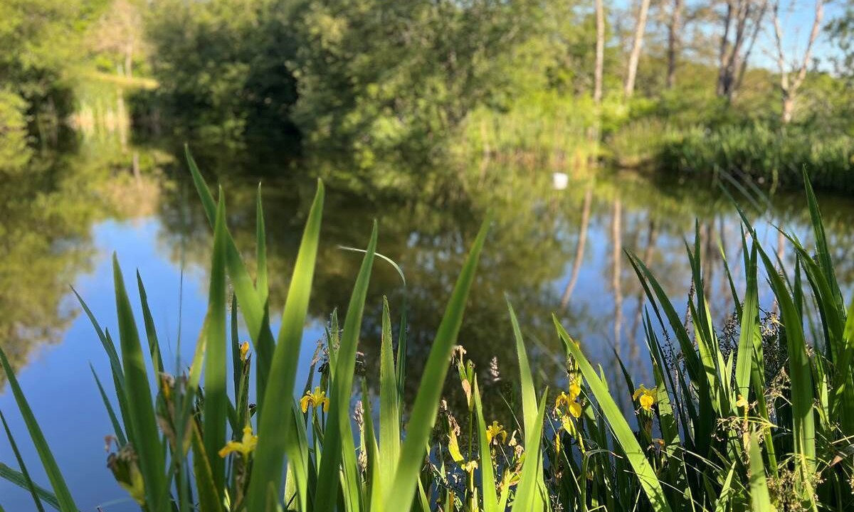 Photo of Others in Roches