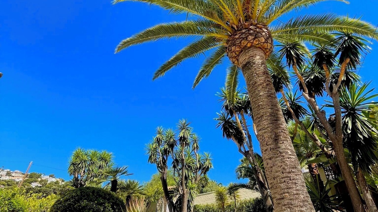 Photo of Outdoor in San Jaime