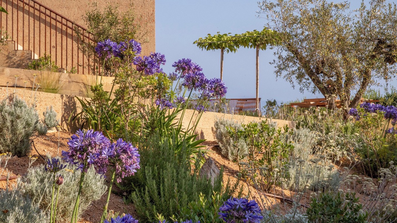 Photo of Outdoor in Cargese