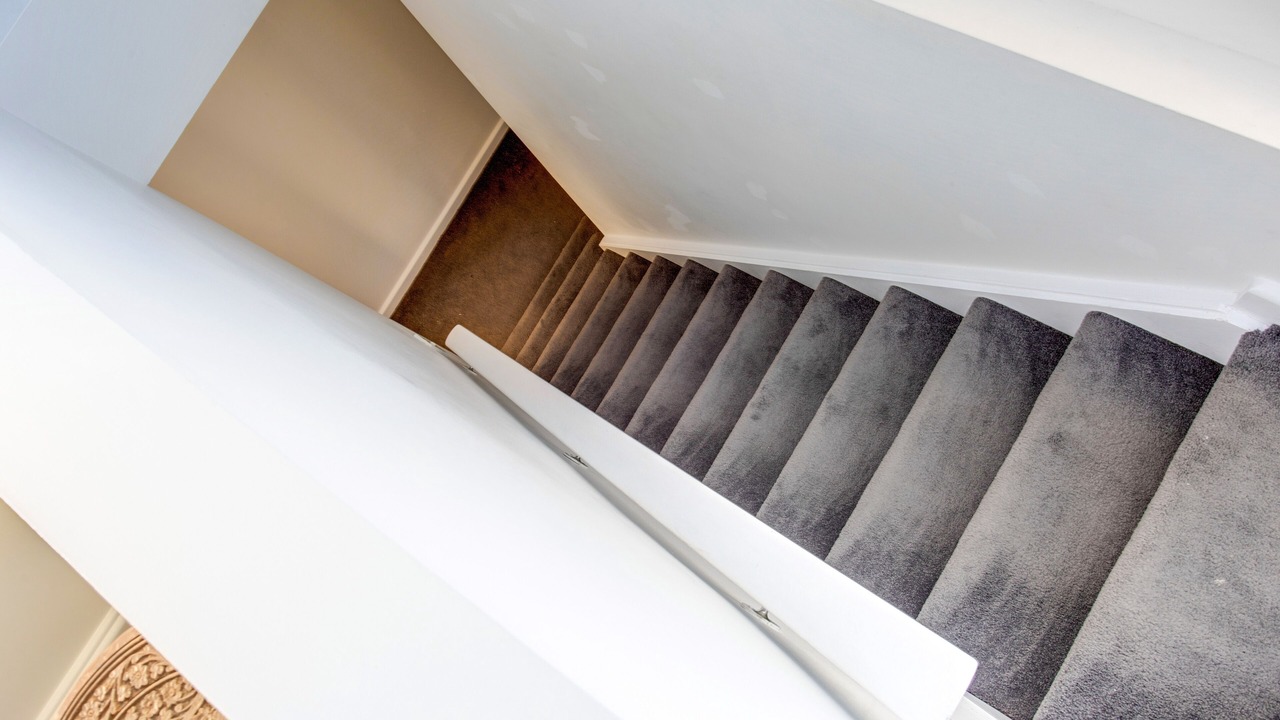 Photo of Others in St. Mary's Bay