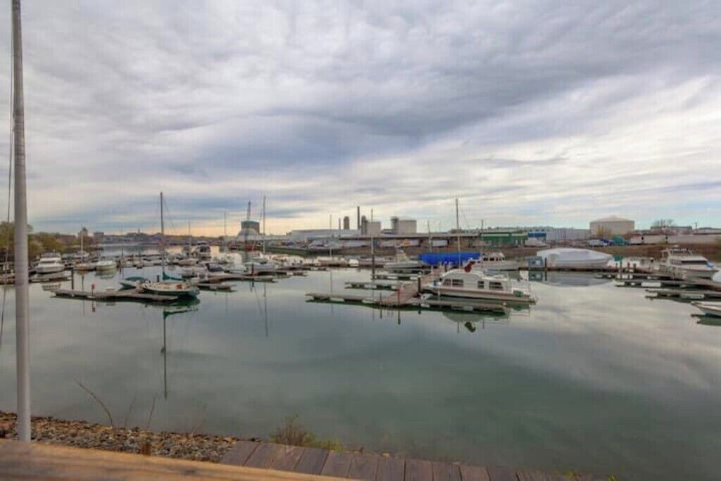 Photo of Others in Chelsea