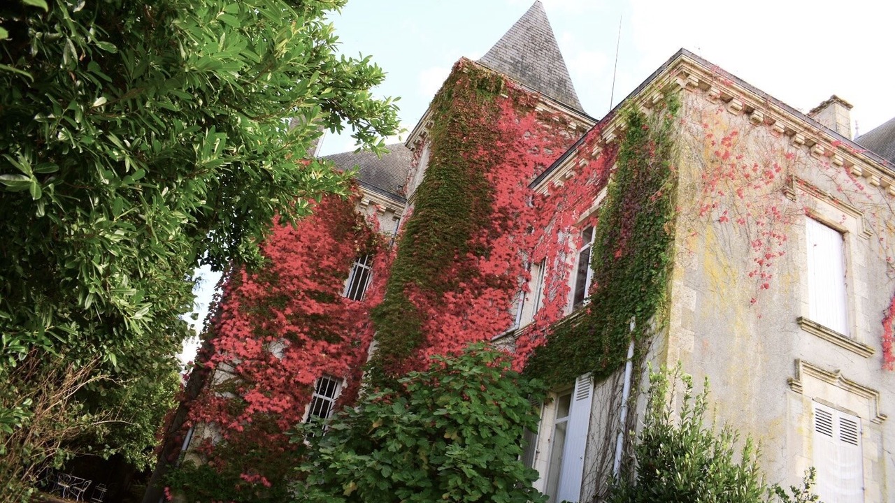 Photo of Others in Parthenay