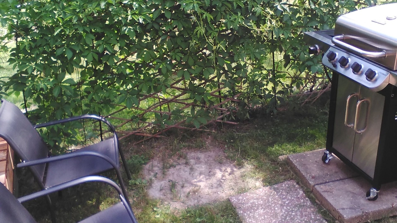 Photo of Outdoor in Monetville