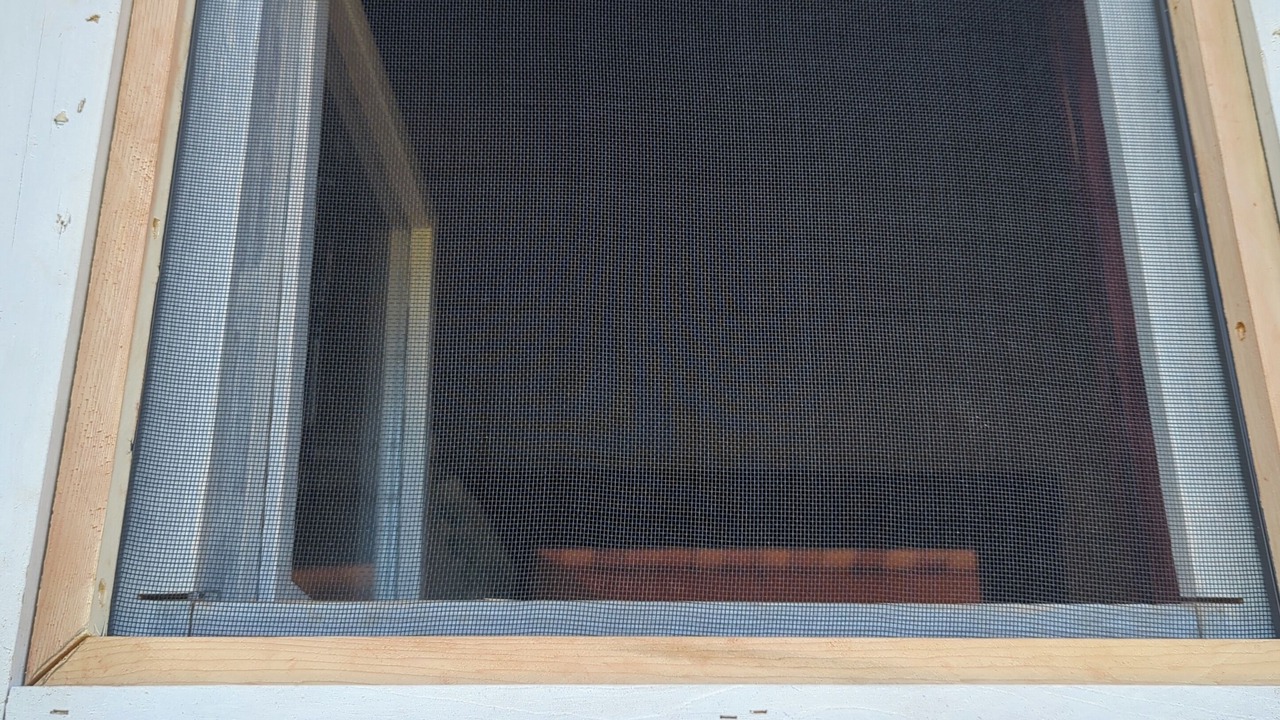 Photo of Outdoor in Bayfield