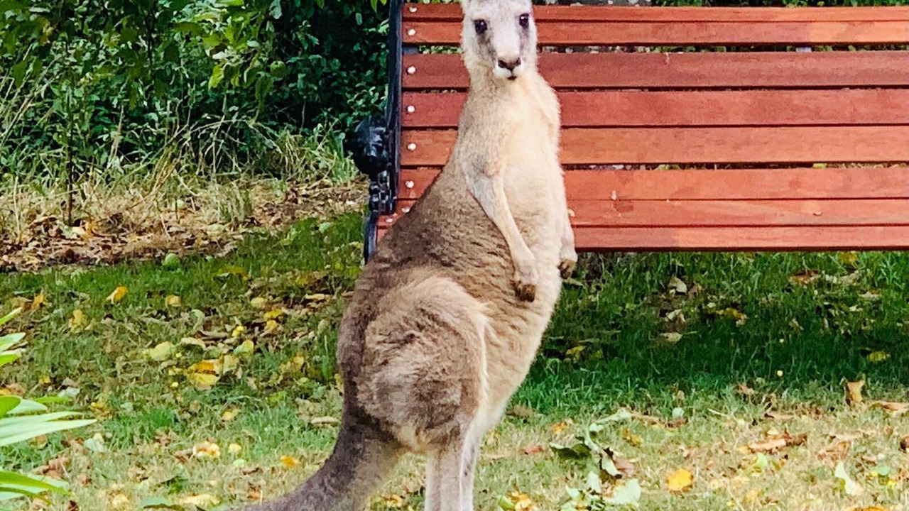 Photo of Others in Hepburn